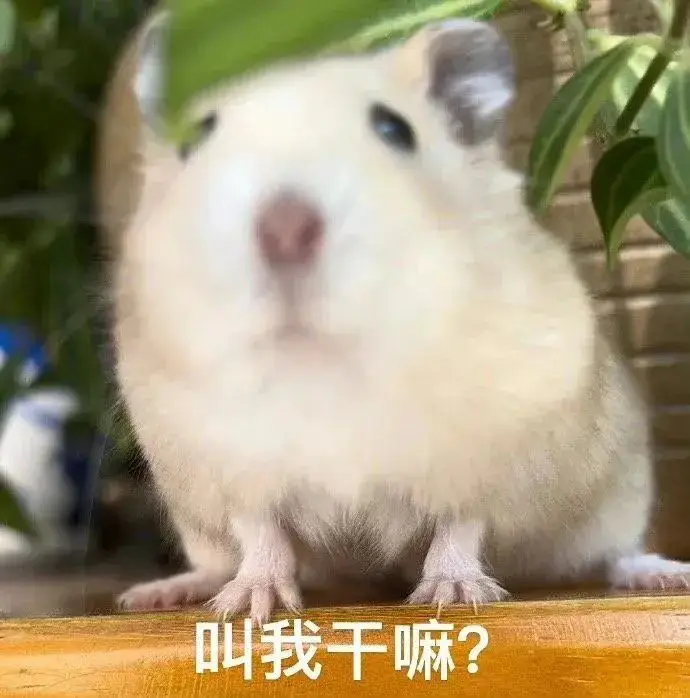 熊猫头表情包_戏精表情包_天龙八部表情包下载