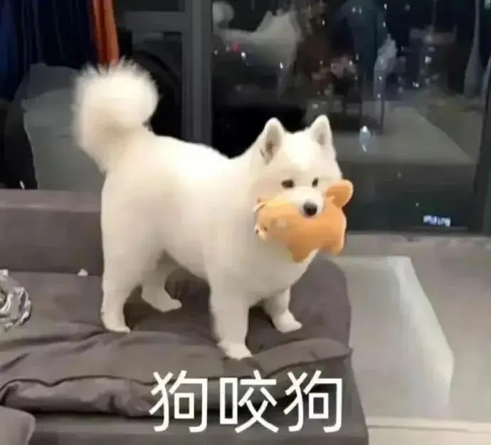 熊猫头表情包_天龙八部表情包下载_戏精表情包