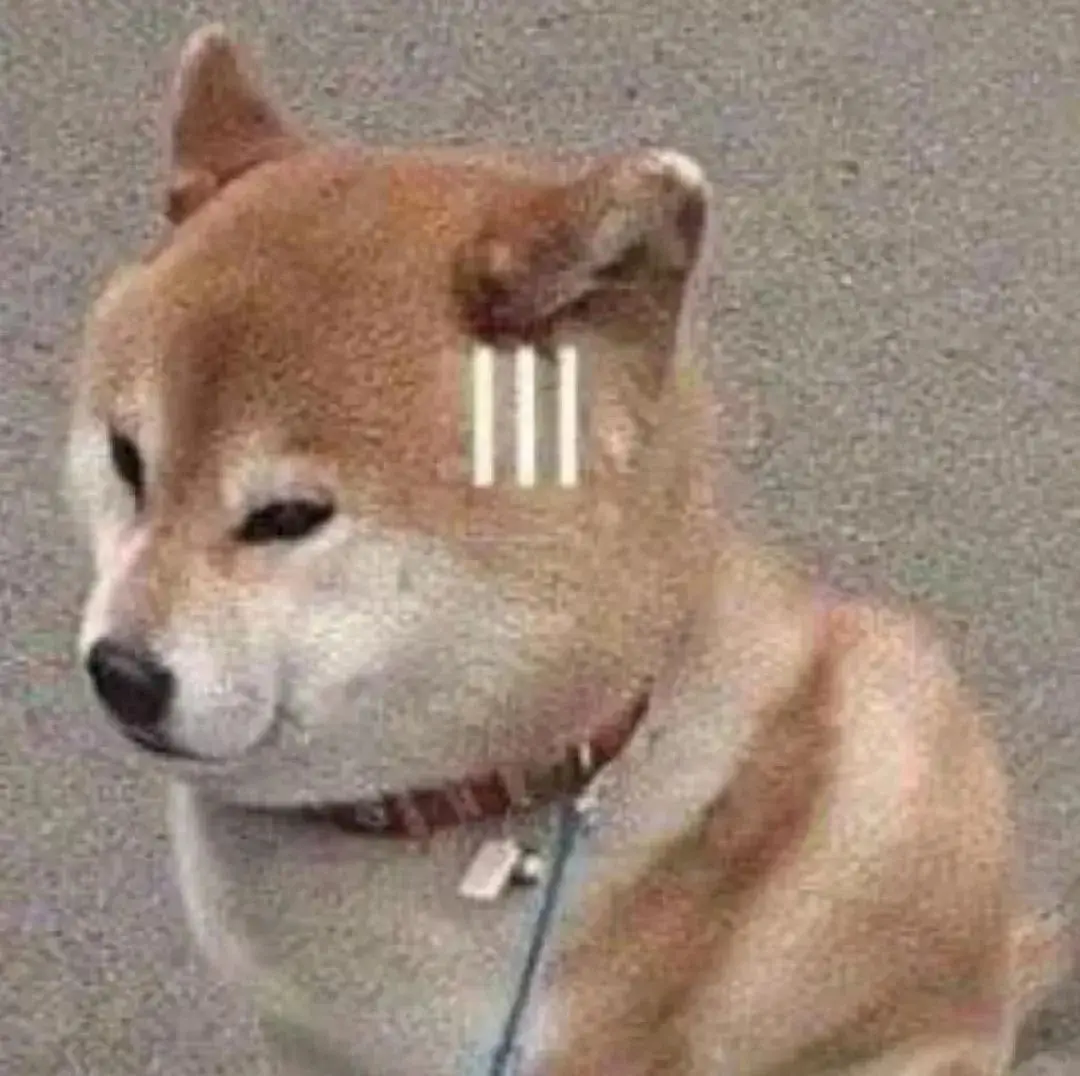 熊猫头表情包_天龙八部表情包下载_戏精表情包