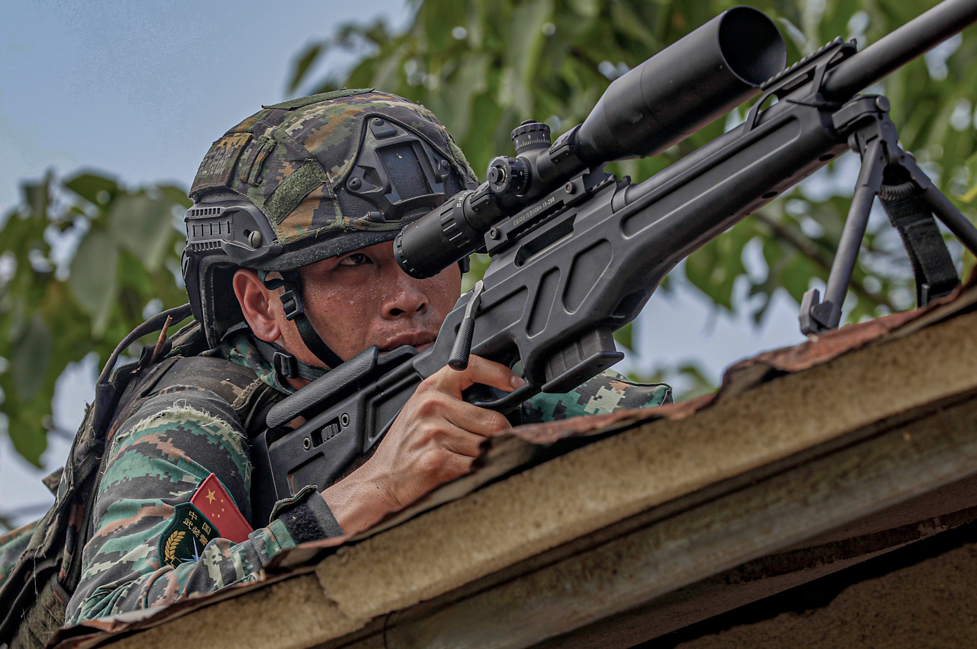 中国特种兵选拔标准_我是特种兵迅雷下载_中国特种兵训练内容