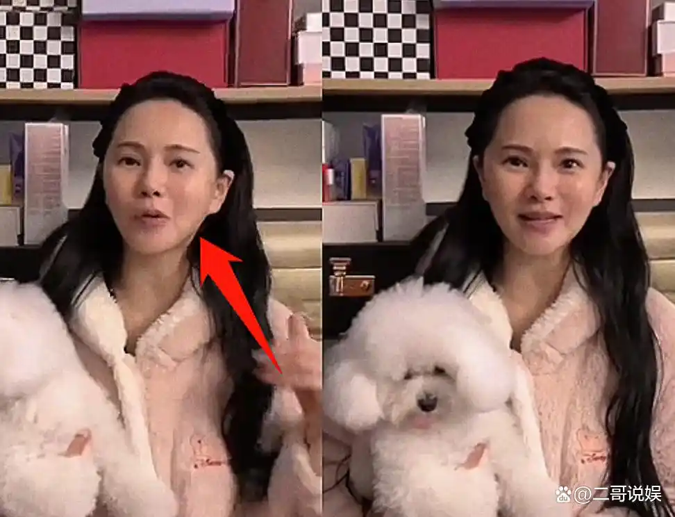 伊能静医美花费百万抗老_伊能静照片下载_伊能静54岁素颜状态变化大